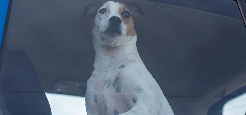 Car Lockout Solutions in Wasco, California