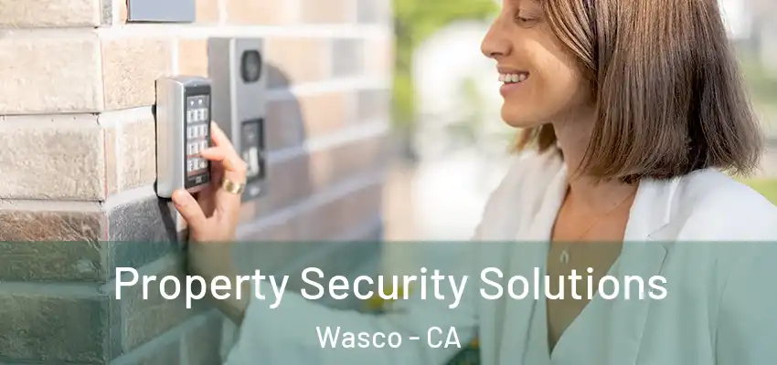  Property Security Solutions Wasco - CA